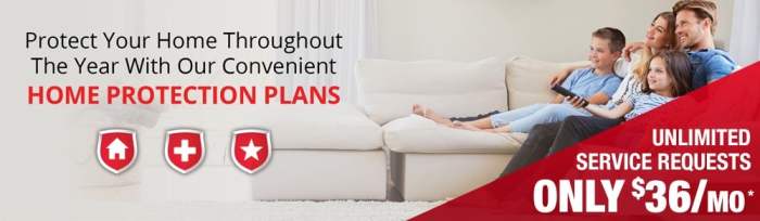 DIY pest control vs professional